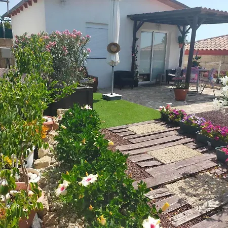 Daita 2 Daita 3 Granadilla De Abona