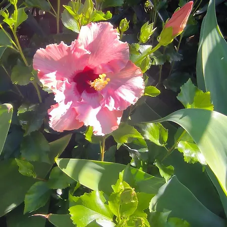 Daita 2 Daita 3 아파트 *