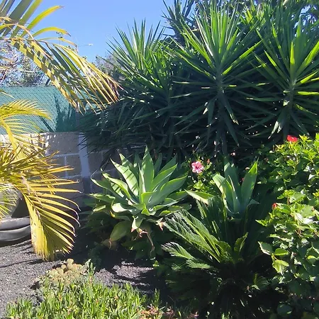 Daita 2 Daita 3 Apartament *