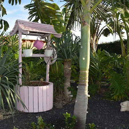 Daita 2 Daita 3 Appartement *