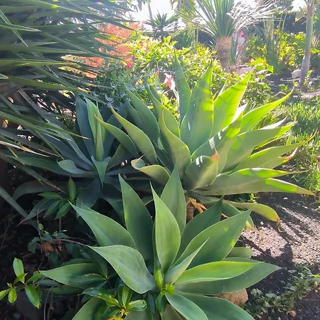 Appartement Daita 2 Daita 3 *