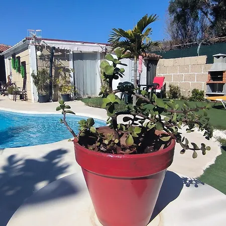 Apartment Daita 2 Daita 3 Granadilla De Abona