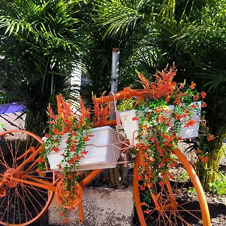 Appartement Daita 2 Daita 3 *