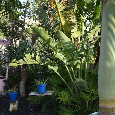 Daita 2 Daita 3 غراناديا دي أبونا